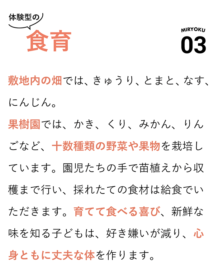 03 体験型の食育