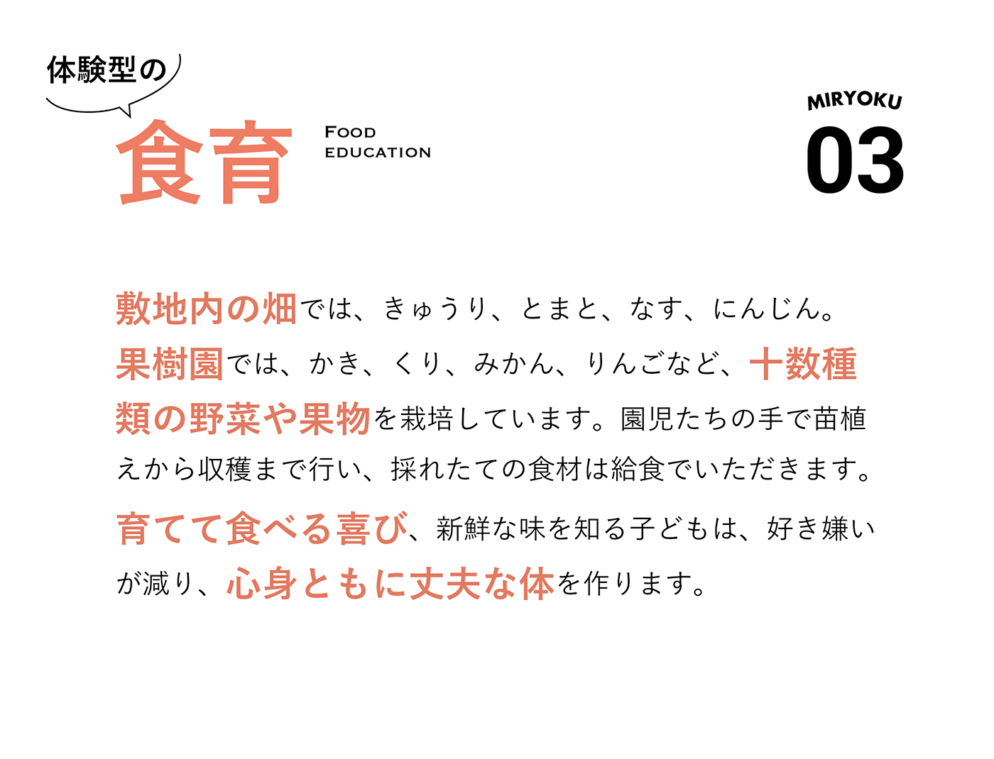 03 体験型の食育